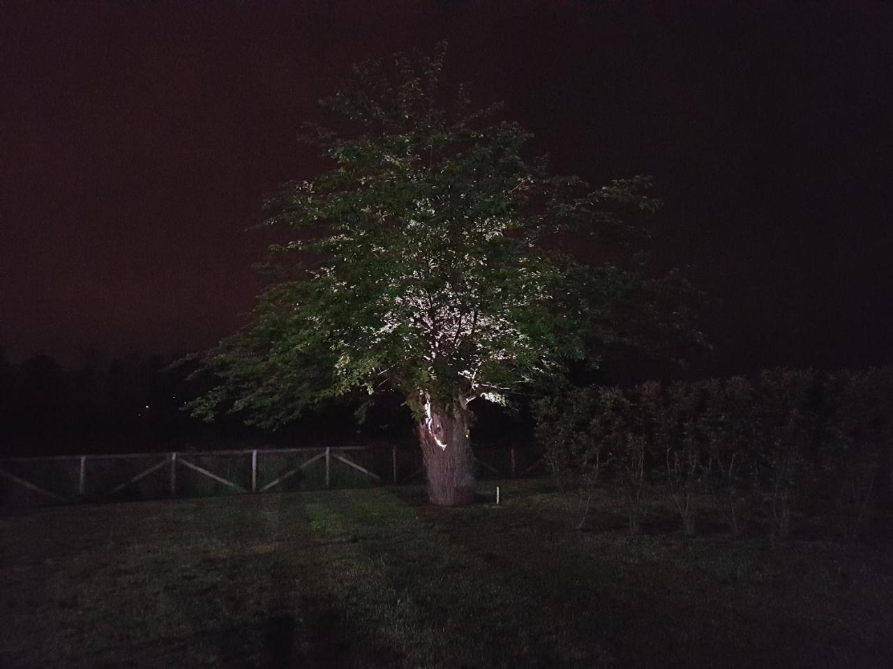 Locanda Veneta Vicenza Luaran gambar